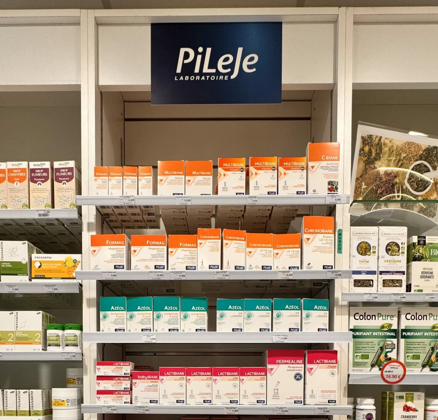 PiLeJe PiLeJe